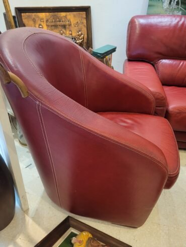 Salon cuir