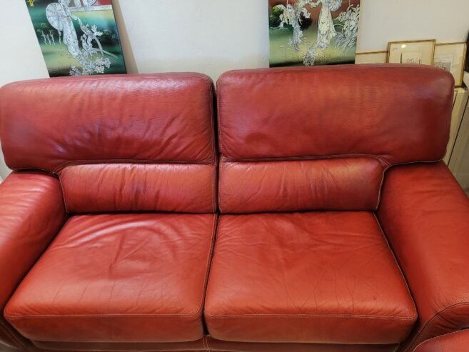 Salon cuir
