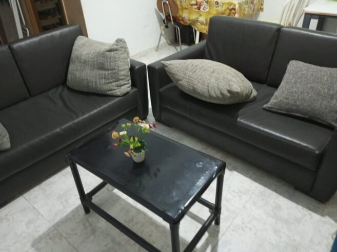 Salon complet en cuir