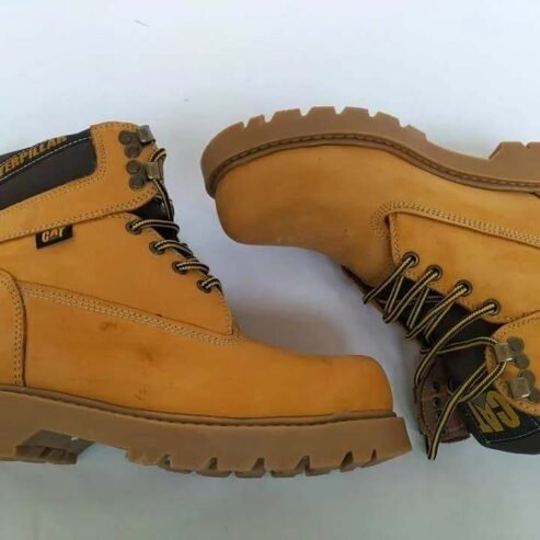 Dispo pointure 39 /44